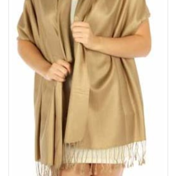 Dark Taupe Pashmina - Picture 1 of 2